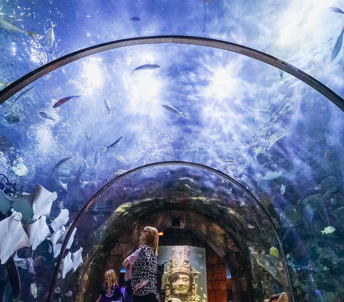 A mother and daughter look up at an aquarium.